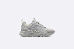 Dior B22 Sneaker Grey