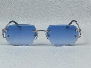 Cartier Piccadilly Zonnebril 0128S Silver Lightblue