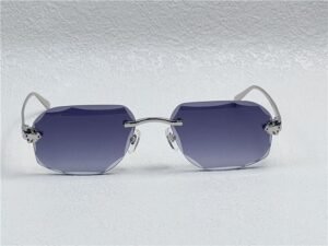 Cartier Zonnebril CT0058O Silver Black