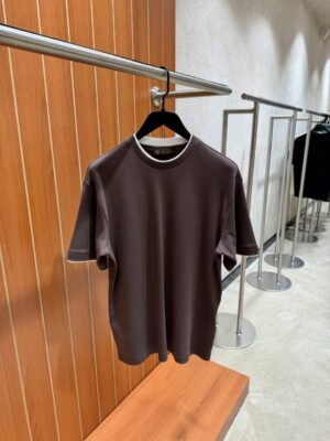 Loro Piana Side Printed T-Shirt Brown
